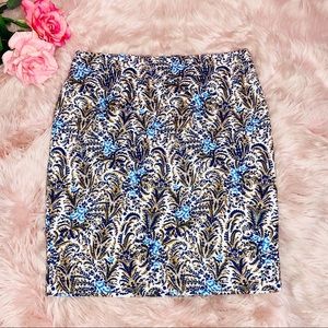 Ann Taylor Pencil Skirt